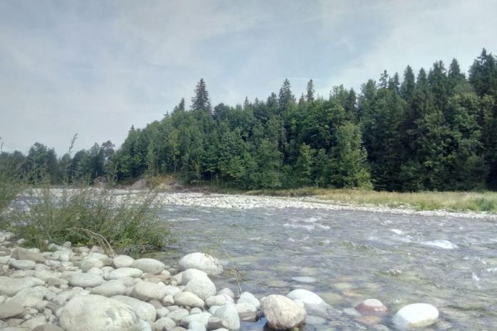 Białka Tatrzańska - rzeka Biała