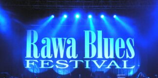 100 celów🎯| #Cel 40 Rawa Blues Festiwal photo: Henry25 wikimedia.org