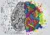 rosnijwsile.pl FLOURISH - Jak dbać o mózg? 8 składników rozwoju mózgu i ciała
