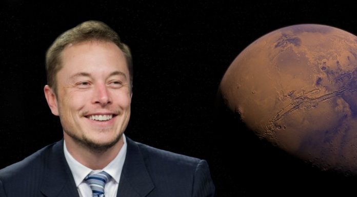 rosnijwsile.pl Elon Musk - cechy, dzięki którym osiągnął spektakularny sukces!