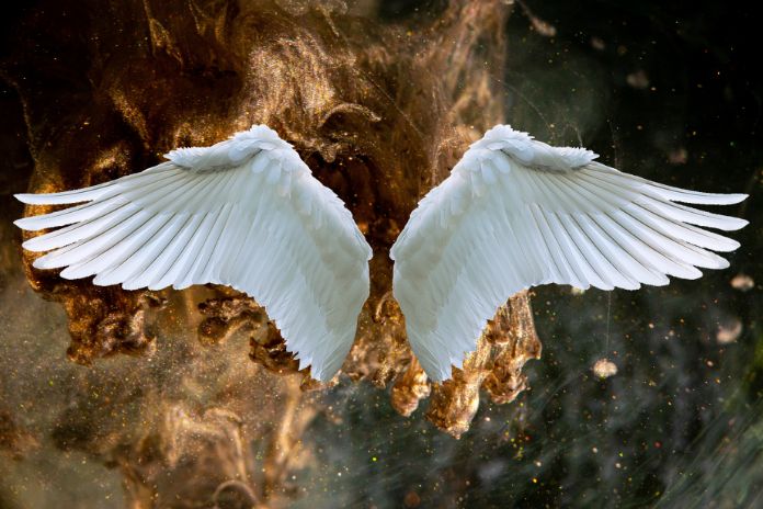 lucyfer-anielskie-skrzydla