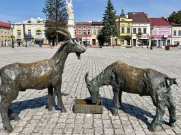 100 celów🎯| #Cel 33 Brzesko - miejsce które warto zwiedzić | Market Square in Brzesko, Poland 2023 autor Kgbo, źródło commons.wikimedia.org