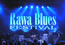 100 celów🎯| #Cel 40 Rawa Blues Festiwal photo: Henry25 wikimedia.org